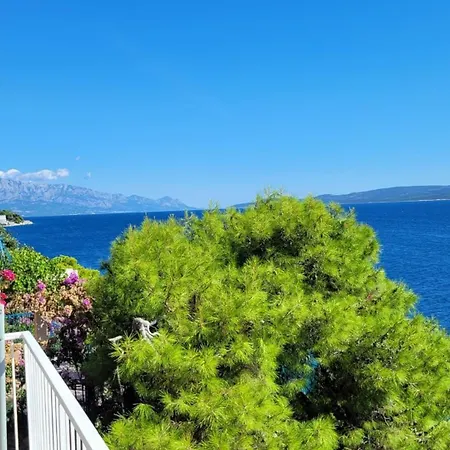 Timee First Row To Stanici